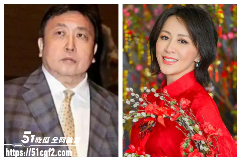 香港明星 陈惠敏重提旧事 绑架黑料重见天日 刘嘉玲竟成港姐替死鬼？